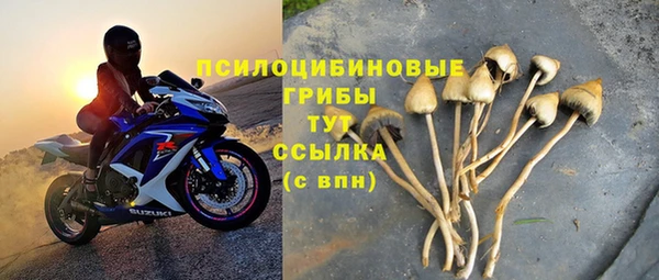 PSILOCYBIN Алексин